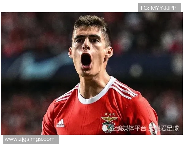 意甲精彩对决利物浦大胜本菲卡乌龙球引发全场热烈反响