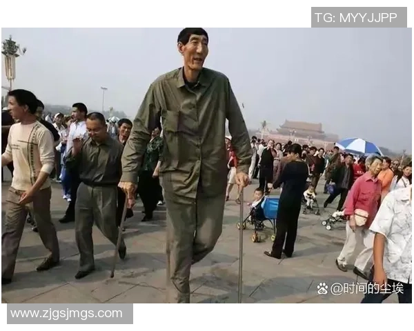 姚明身高的传奇故事与篮球梦想的追逐之路