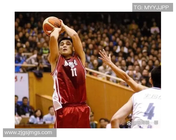 滨湖公园姚明的篮球传奇与城市文化交融之旅